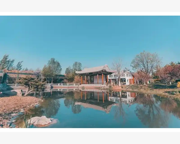 脾胃虚弱与流清水鼻涕：中医的解释