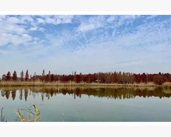 气血不足的症状及预防调理，助你远离亚健康状态